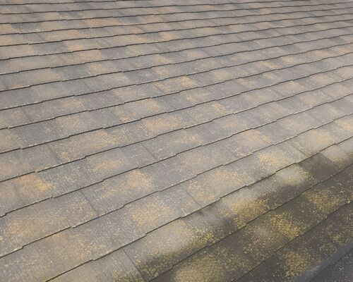 C1A8A429-68EC-402A-8B43-809C10745DA9